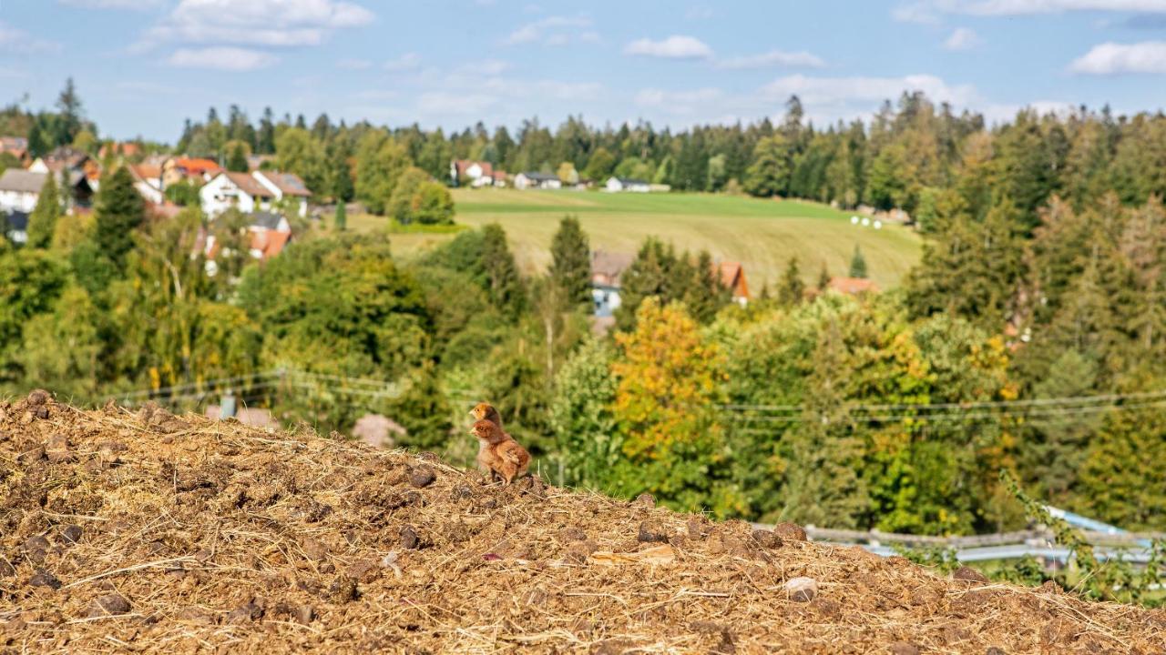 Landpension Pferdekoppel - Self Checkin Seewald Extérieur photo